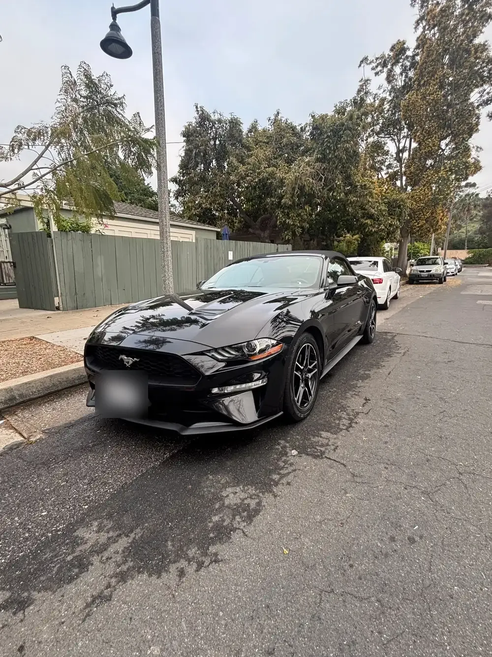 Black Ford Mustang after an exterior hand wash